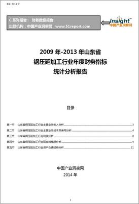 2009-2013年山东省钢压延加工行业财务指标分析年报
